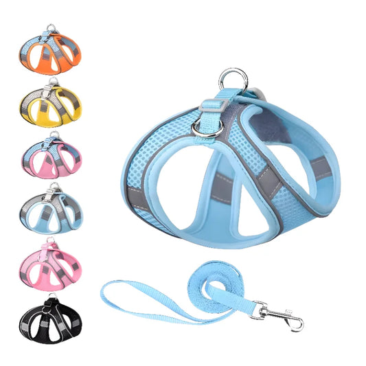 Cozy Paws Pet Harness Set